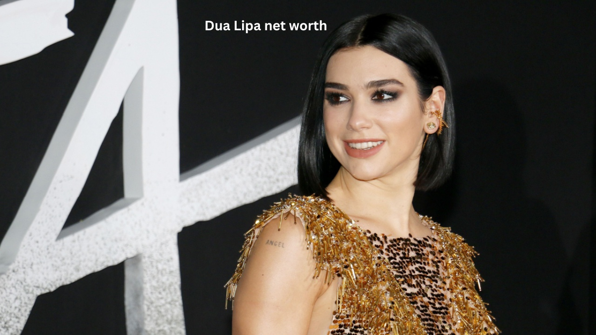 Dua Lipa Net Worth