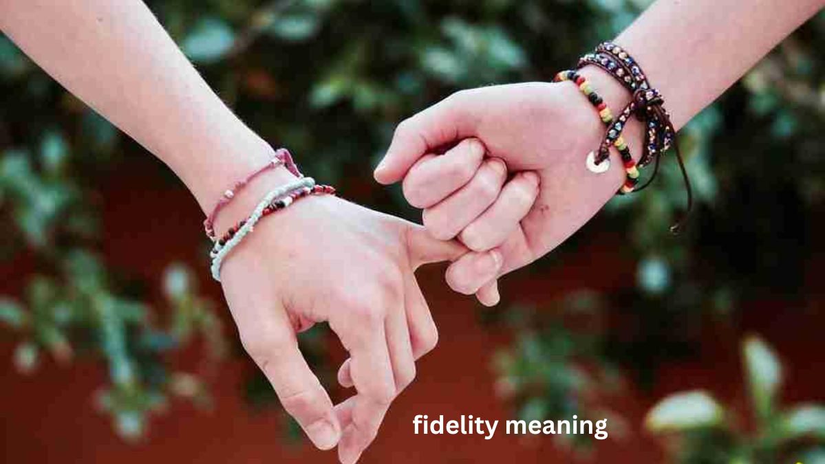 Fidelity Meaning